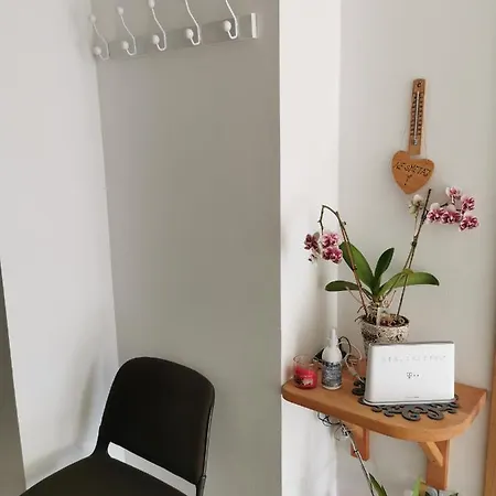 APARTMAN i SOBA HADELA Sveti Martin Na Muri Exteriör bild
